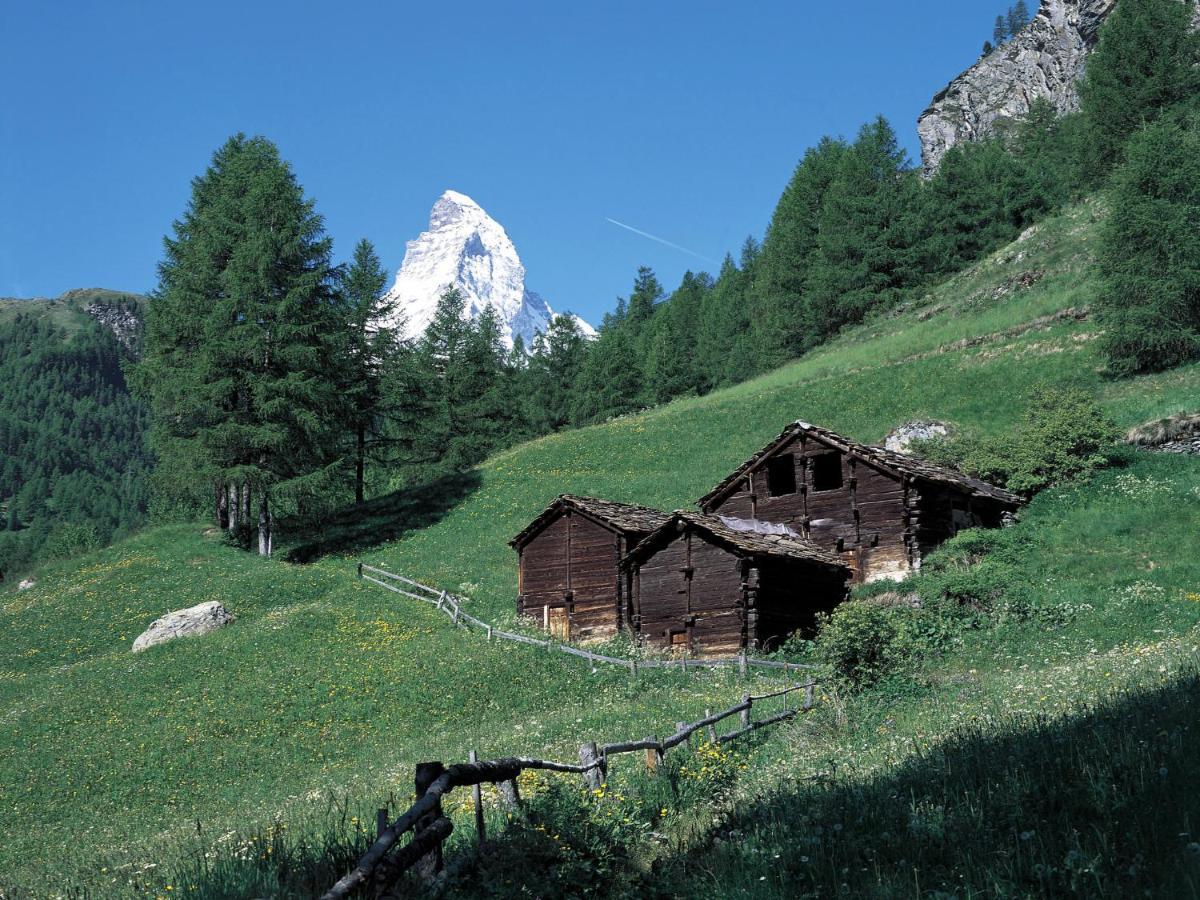 Apartment Kondor By Interhome Zermatt Extérieur photo